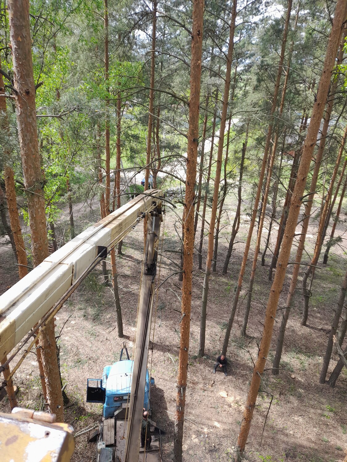 сосновый бор парк, норвежский парк веревочный парк санкт-петербург, верёвочная, парк орех, экстрим парк