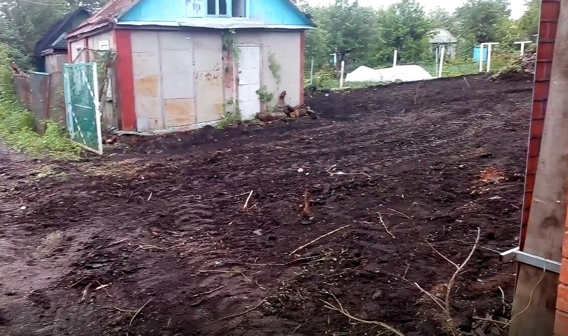 участок, дача, дачные участки, домик на участке, растение