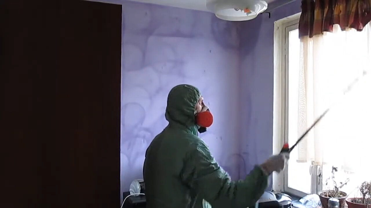 уничтожение тараканов в квартире, дезинфекция дезинсекция дератизация, дезинфекция от клопов в квартире, уничтожение клопов, дезинсекция