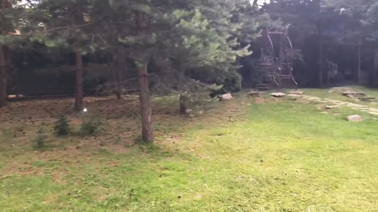 мебель, ландшафтный, в парке, участок, сад ландшафтный дизайн