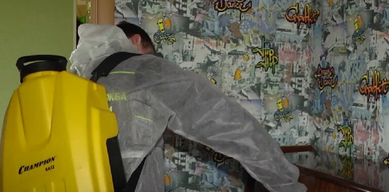 дезинсекция, дезинфекция, дезинфекция дезинсекция дератизация, дезинфекция помещений, дезинфекция от клопов