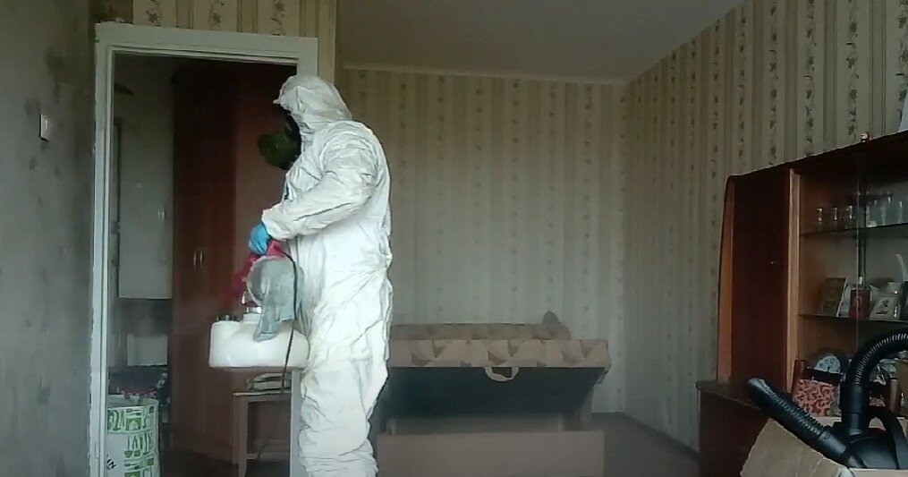 дезинсекция, уничтожение клопов, дезинфекция, дезинфекция дезинсекция дератизация, дезинфекция от клопов