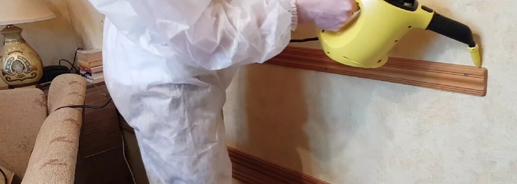 дезинсекция, дезинфекция от клопов ижевск, дезинфекция, дезинфекция от клопов, дератизация и дезинсекция