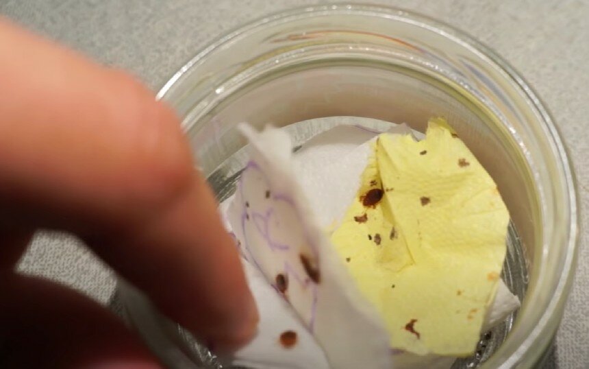 насекомое, вливание молока в кофе, посев семян, айс де люкс карамель, кофе молочный