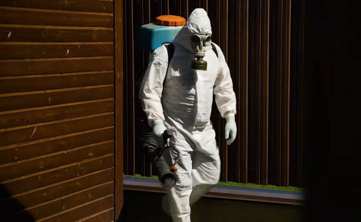 дезинсекция, дезинфекция дезинсекция дератизация, дератизация и дезинсекция, дезинфекция, бернард дезинфектор