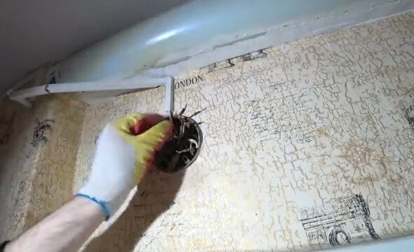 таракан на стене, клопы на стенах в квартире, покраска потолка, отверстие в стене, вставка для натяжного потолка