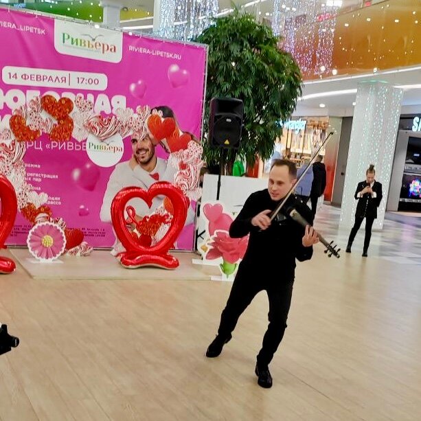 музыкант, скрипач, алексей скрипка, музыкант скрипач, александр догадаев скрипка