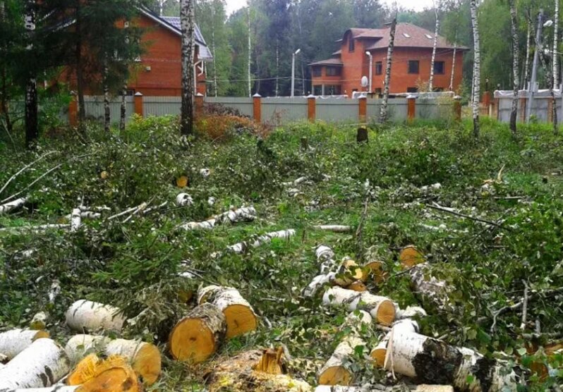 участок, дача, дачная, заболоченный дачный участок, земельный участок