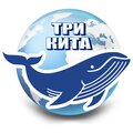 Три Кита