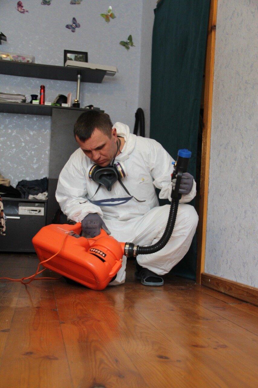 уничтожение клопов, уничтожение насекомых, дезинсекция, дезинфекция помещений, дезинсекция тараканов
