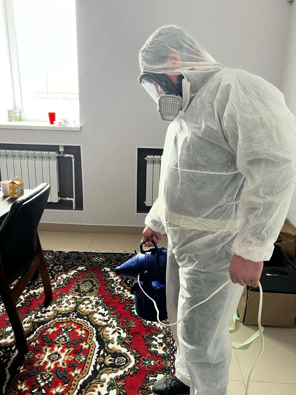 дезинфекция помещений, человек, обработка от тараканов, уничтожение тараканов, дезинфекция