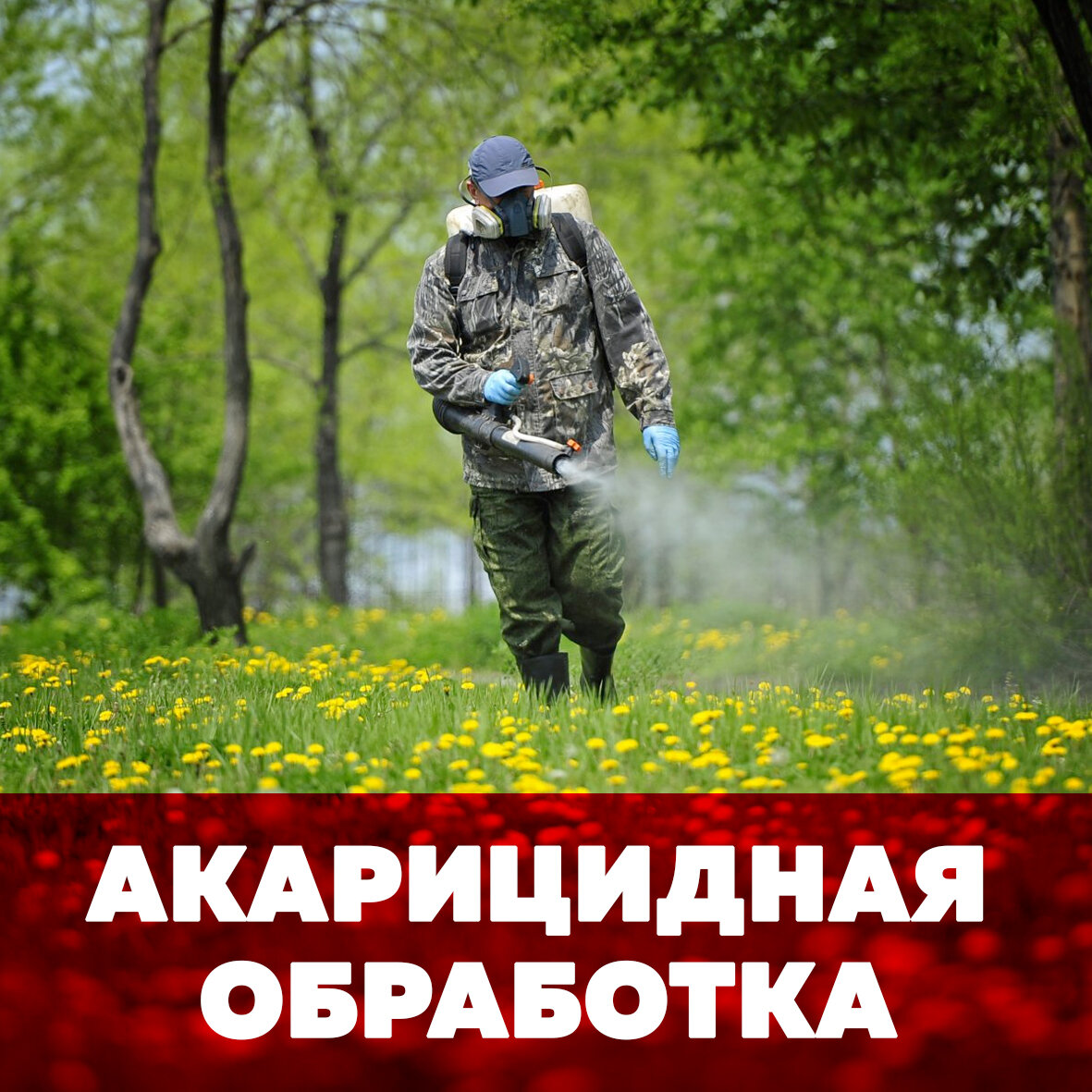 обработка от клещей, обработка территории от клещей, обработка участка от клещей, акарицидная обработка, обработка от клещей весна