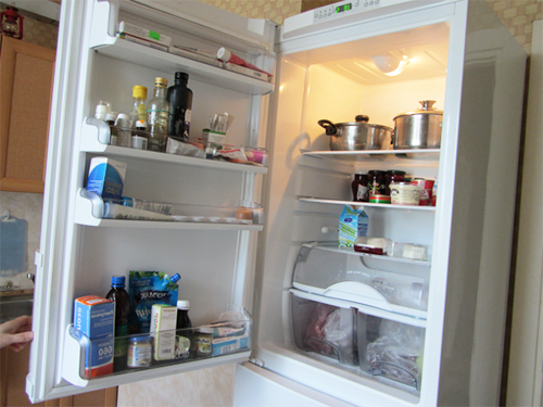 холодильник, двухкамерный холодильник, верхняя полка холодильника, мой холодильник, bosch kgv36nw1ar