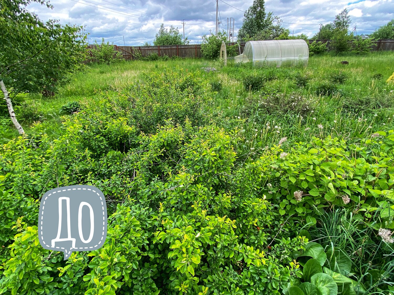 участок, участок в деревне, дача, участки в подмосковье, дачный участок