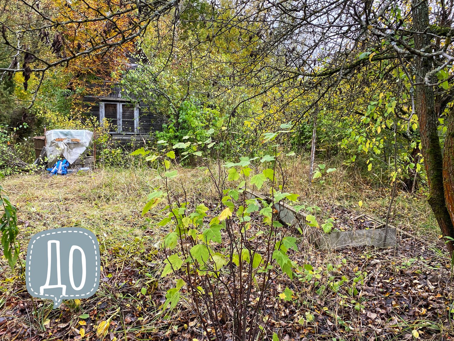 дача, участок, садовое товарищество, дача участок, дом дача