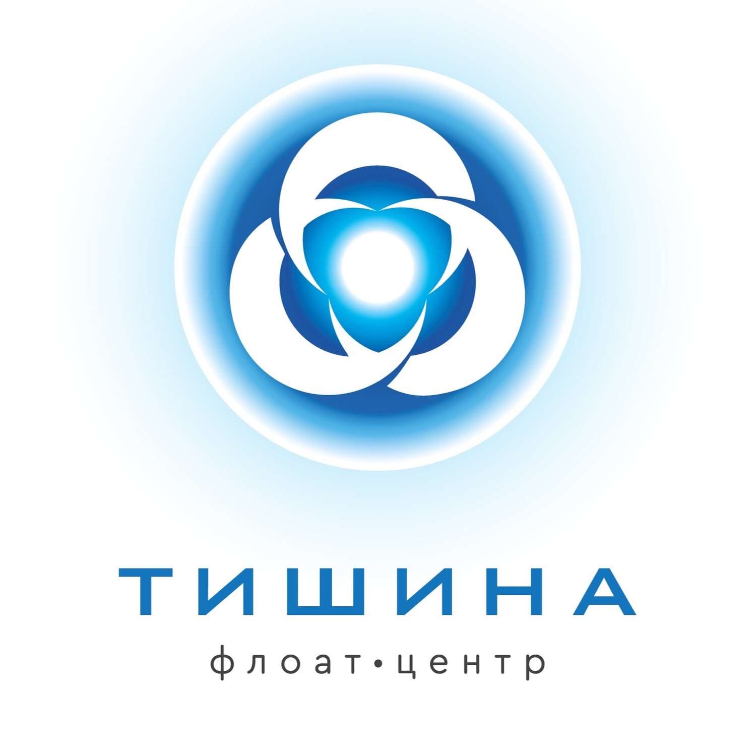 ИП Киреева Александра Владимировна