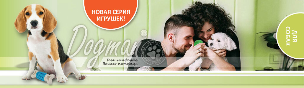 домашние животные, игрушка собака, маленькие собаки, питомец, животное