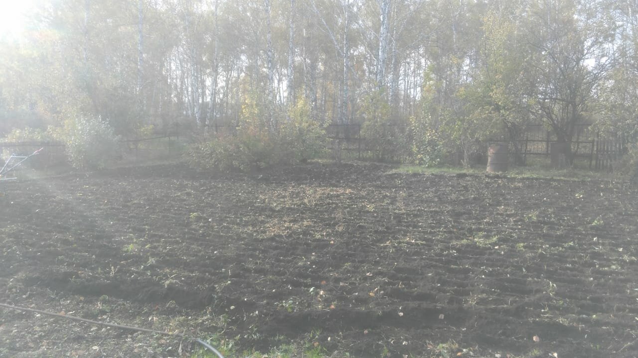 участок, земельный участок, в деревне, природа, болото