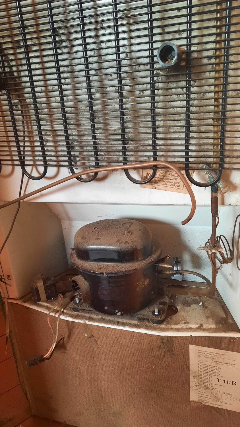 минск 15м холодильник компрессор, холодильник минск 15 компрессор, холодильник, задняя стенка холодильника бирюса 22, перегорел холодильник