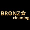 Bronza cleaning