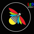 LEDпроект