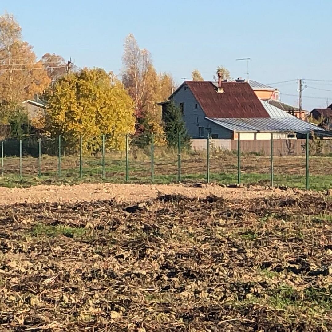 земельный участок, участок, земли поселений, деревни, бортнево пушкинский район