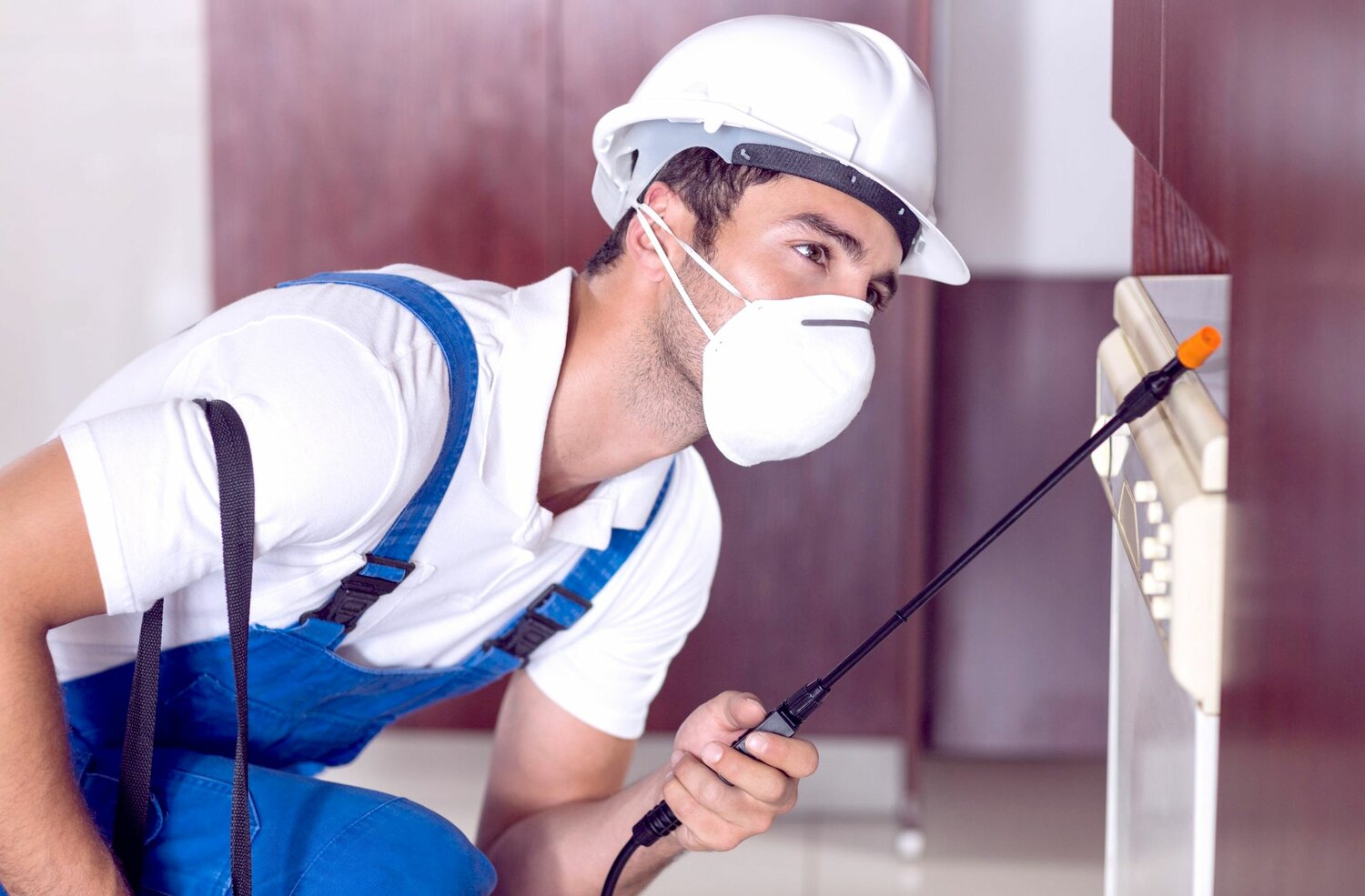 дезинсектор, дезинсекция, миркерамики pest, pest control, дезинсекция кухни
