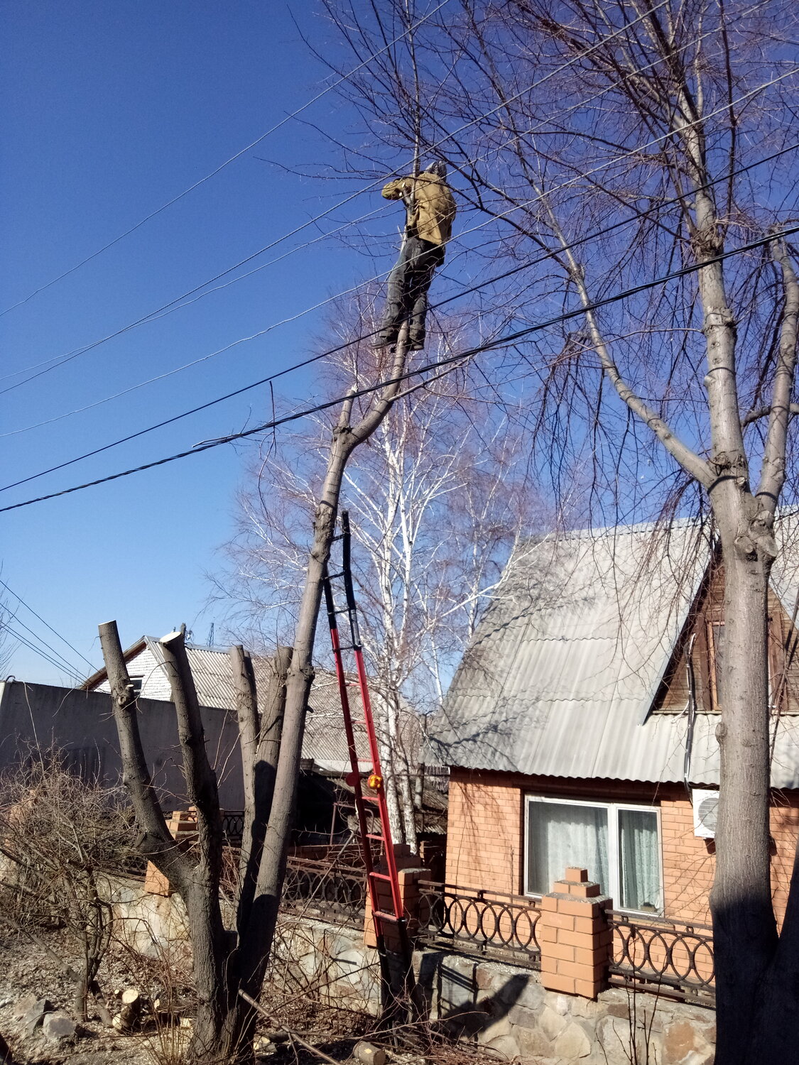 кронирование деревьев, аварийные деревья, дерево, столб электрический, спилить дерево калуга