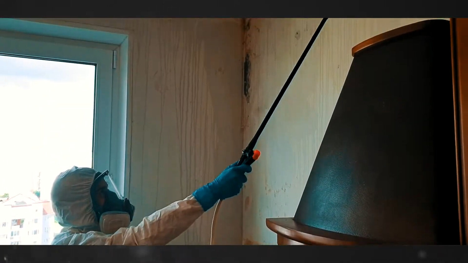 дезинфекция дезинсекция дератизация, дезинфекция, порошковая покраска, дезинфекция помещений, дезинсекция