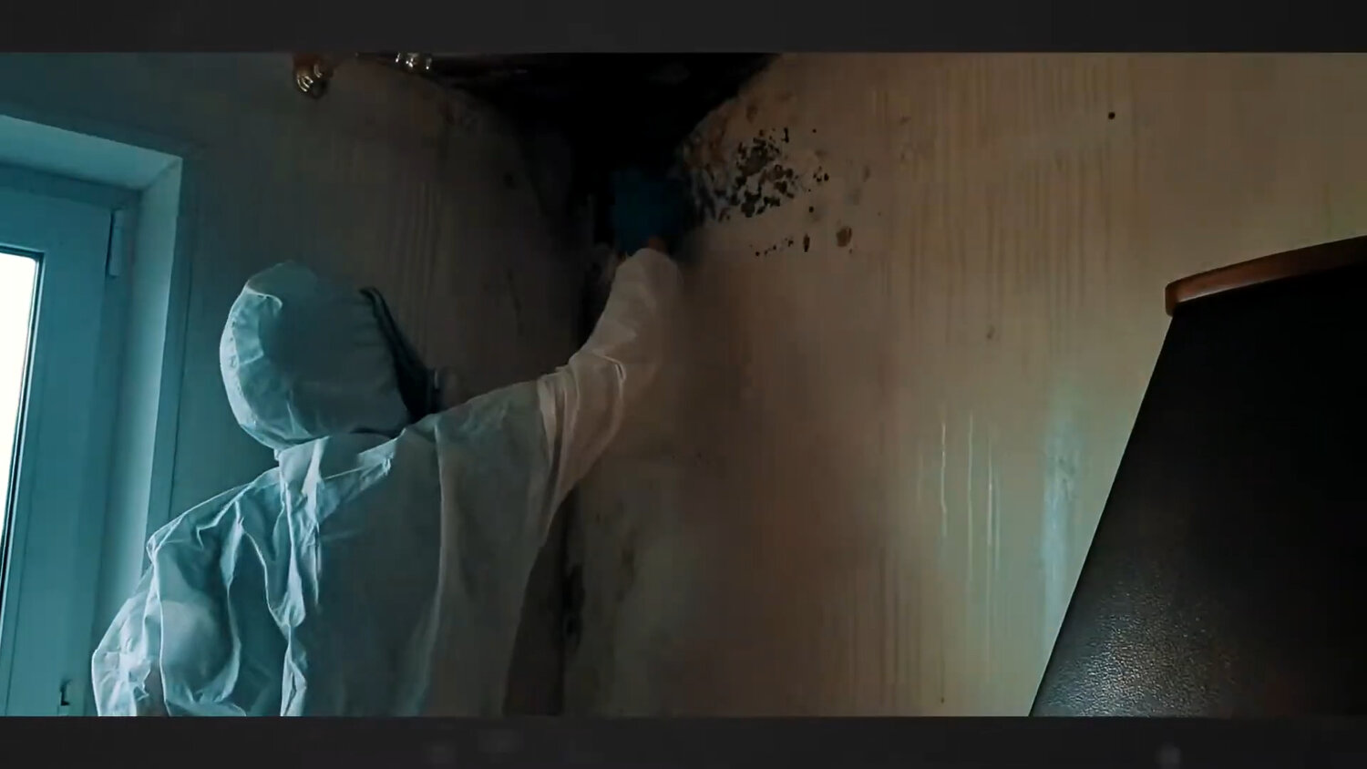 дезинсекция, дезинфекция дезинсекция дератизация, дезинфекция, дезинфекция от клопов, дезинфекция от клопов в квартире