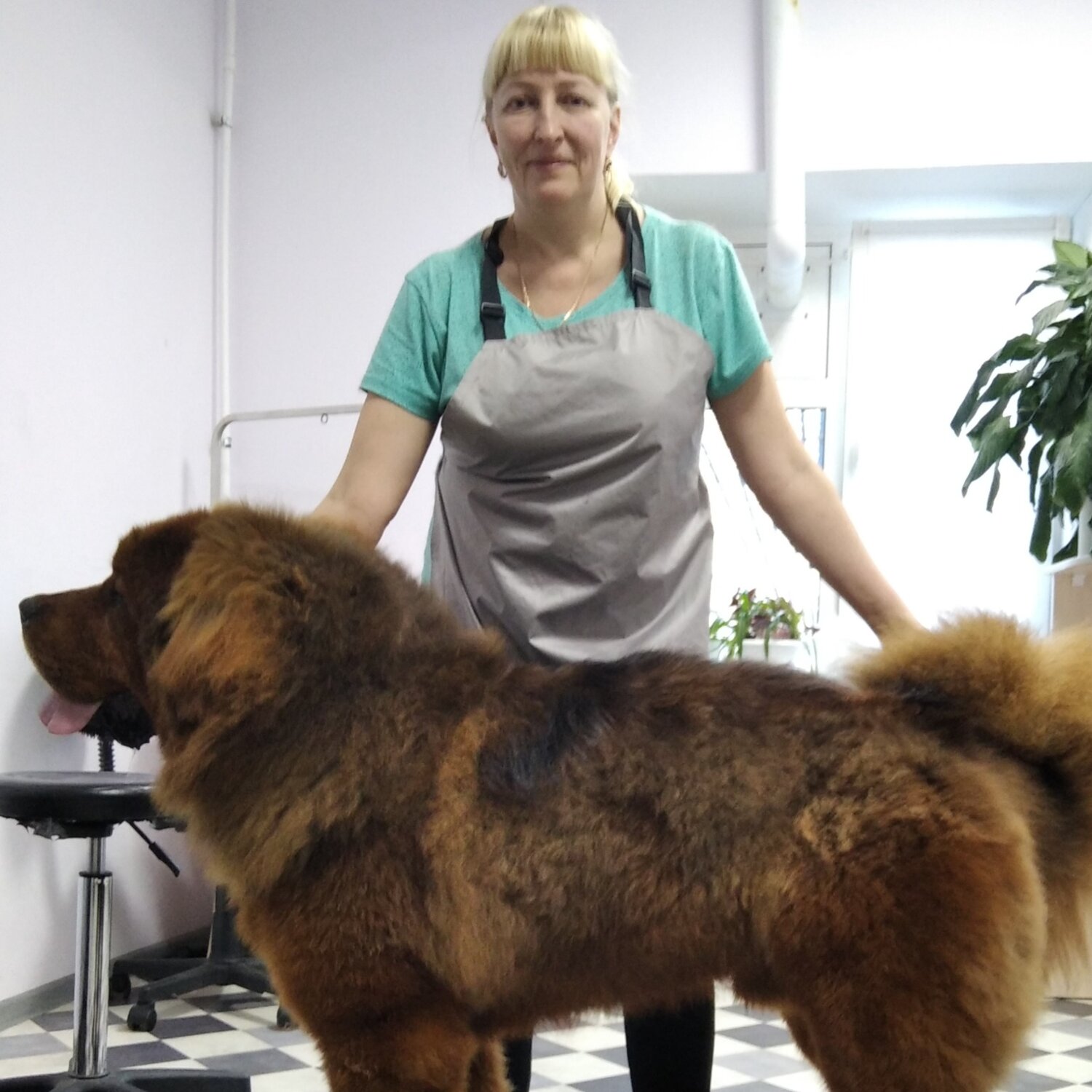 Елена Староверова