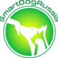 SmartDogRussia