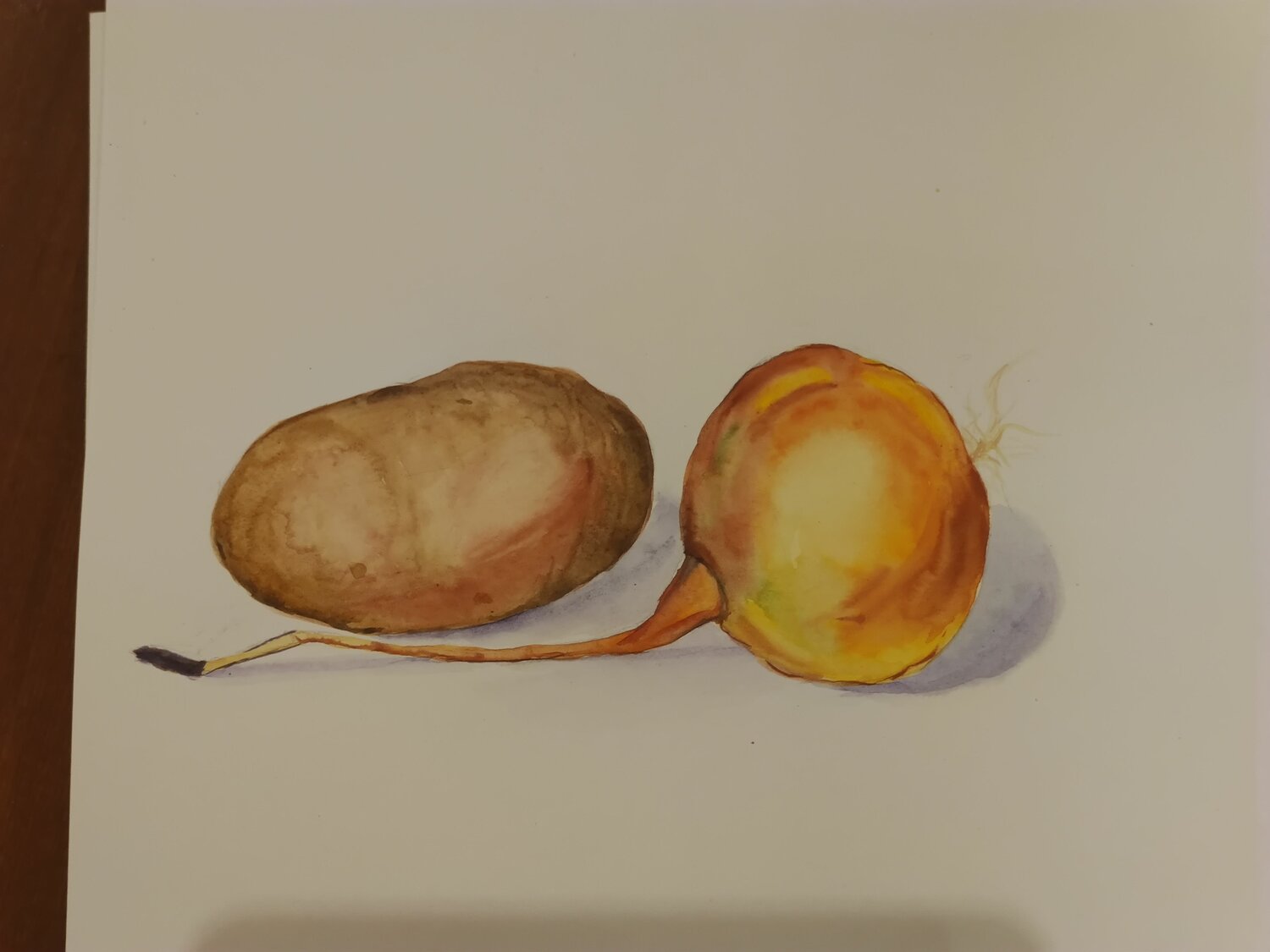 картофель акварель, этюд акварелью луковицы и двух картошек, фрукт, этюд апельсина акварелью, персики натуры акварель