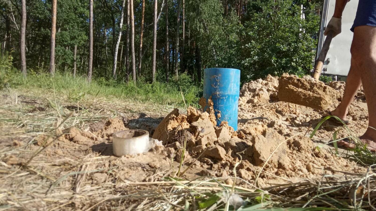 природа, корчевание молодых деревьев, посади лес, корчевание пней, раскопки калуга