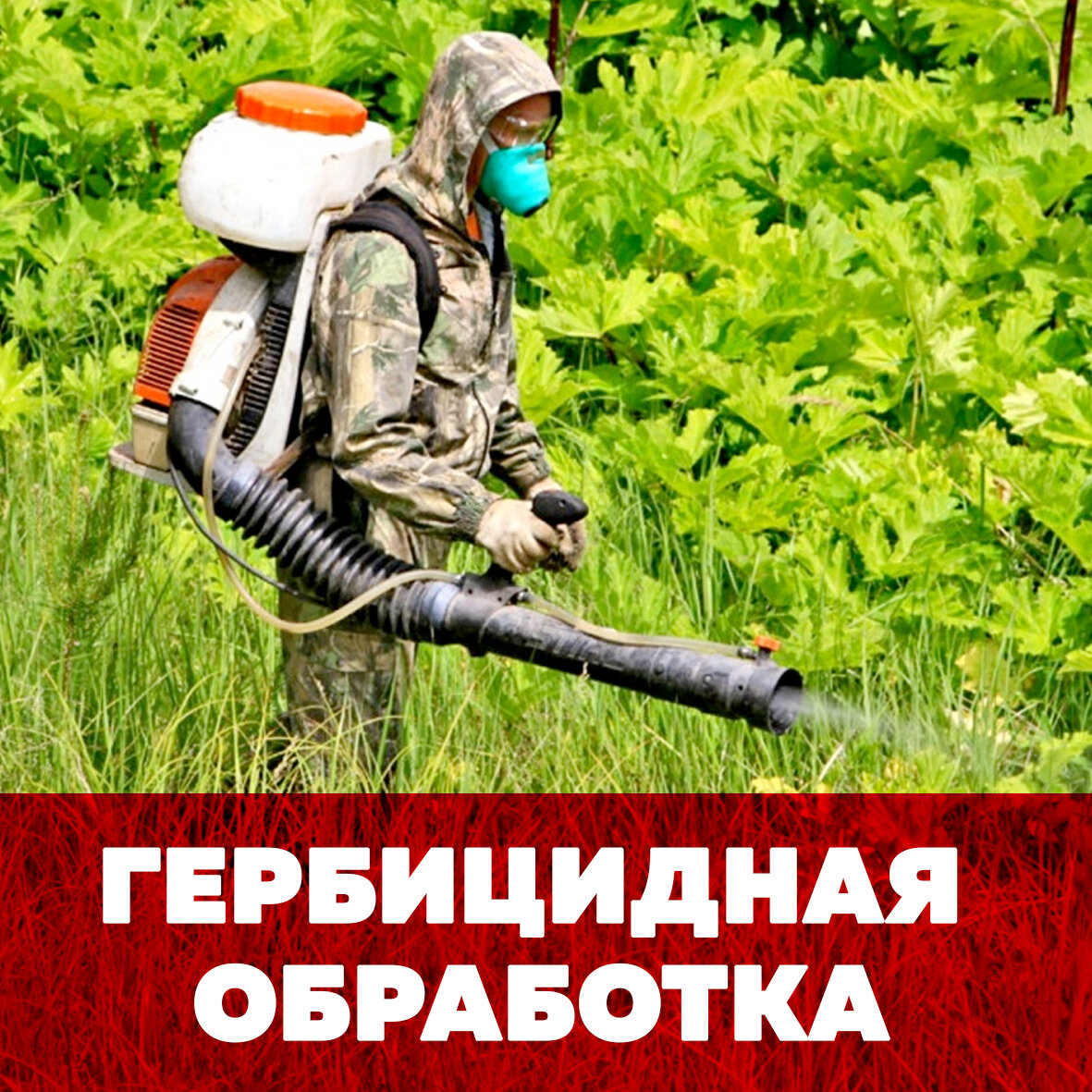гербициды, гербицид против борщевика, гербициды для уничтожения сорняков, гербицидная обработка, обработка от клещей