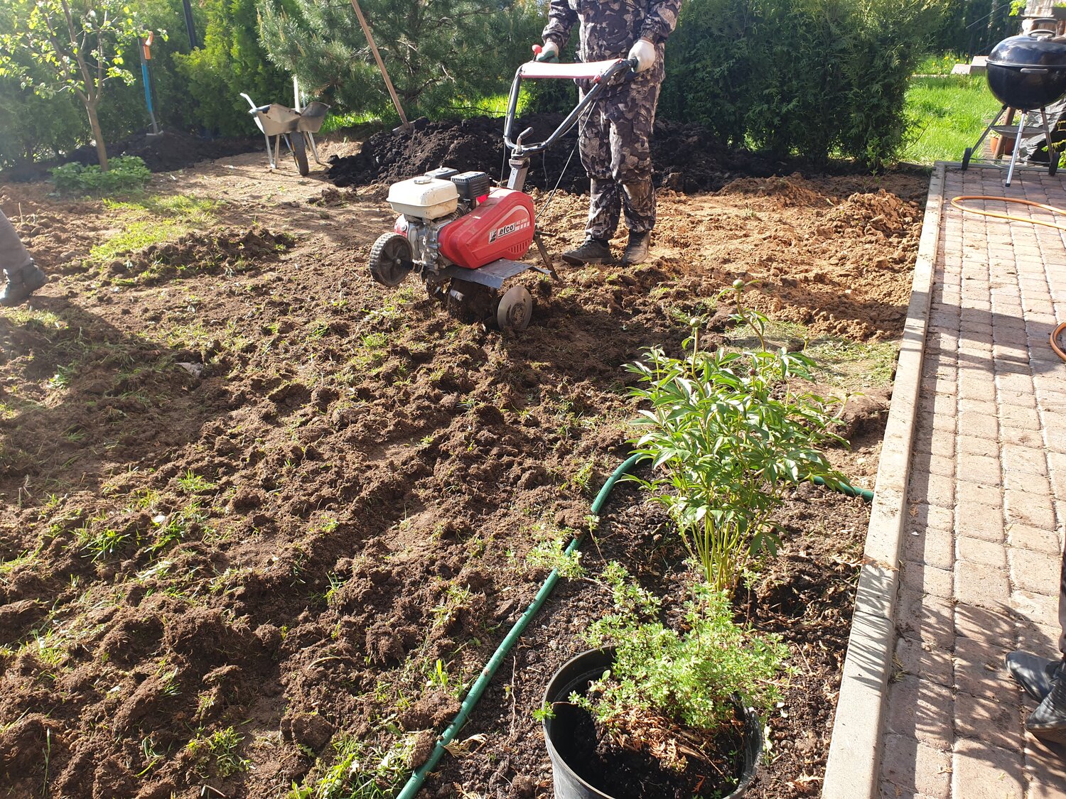 огород, вспашка огорода, садовые идеи, вспашка земли мотоблоком, вспашка земли
