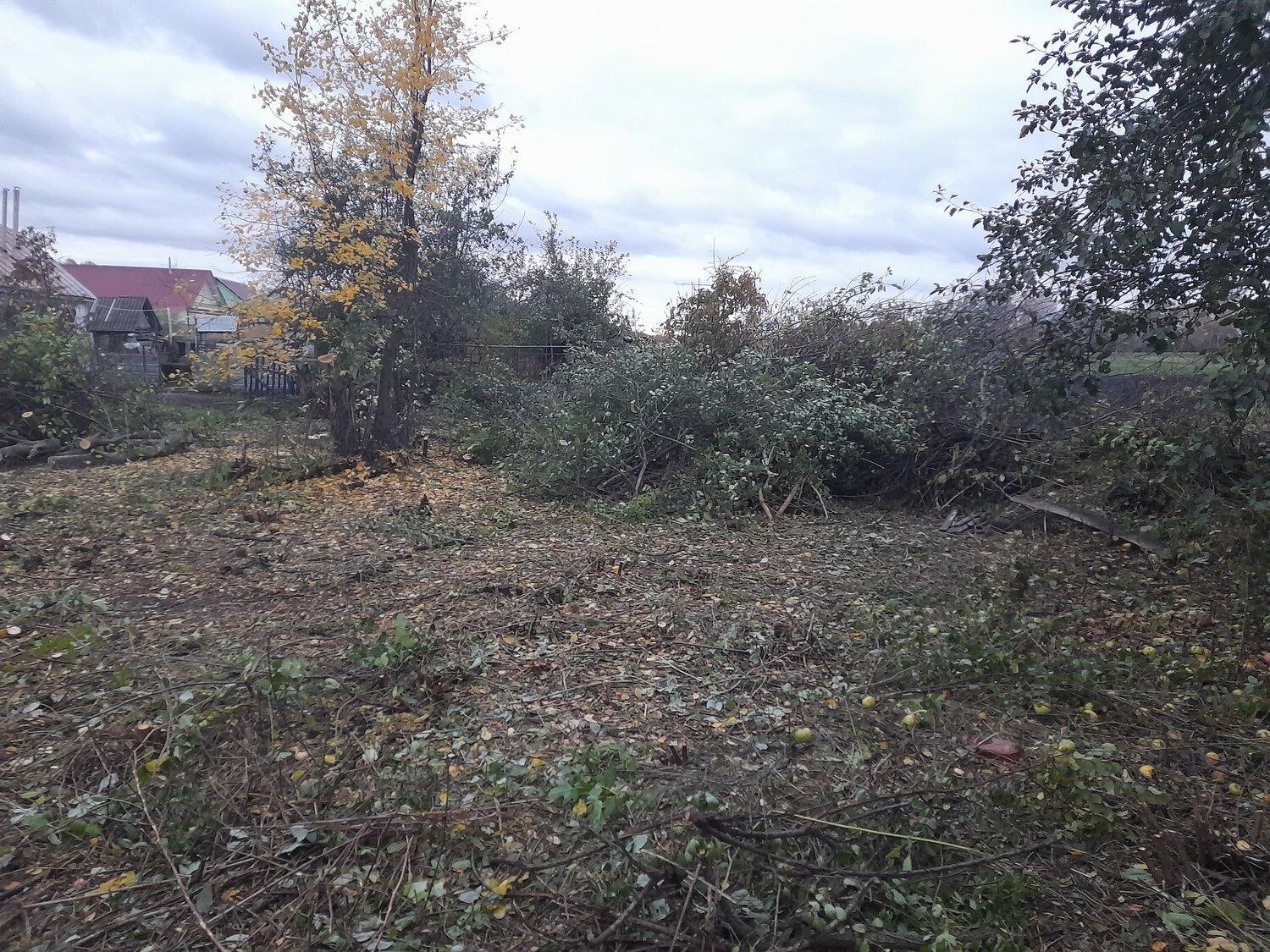 участок, земельный участок, участок в деревне, дача, дачный участок