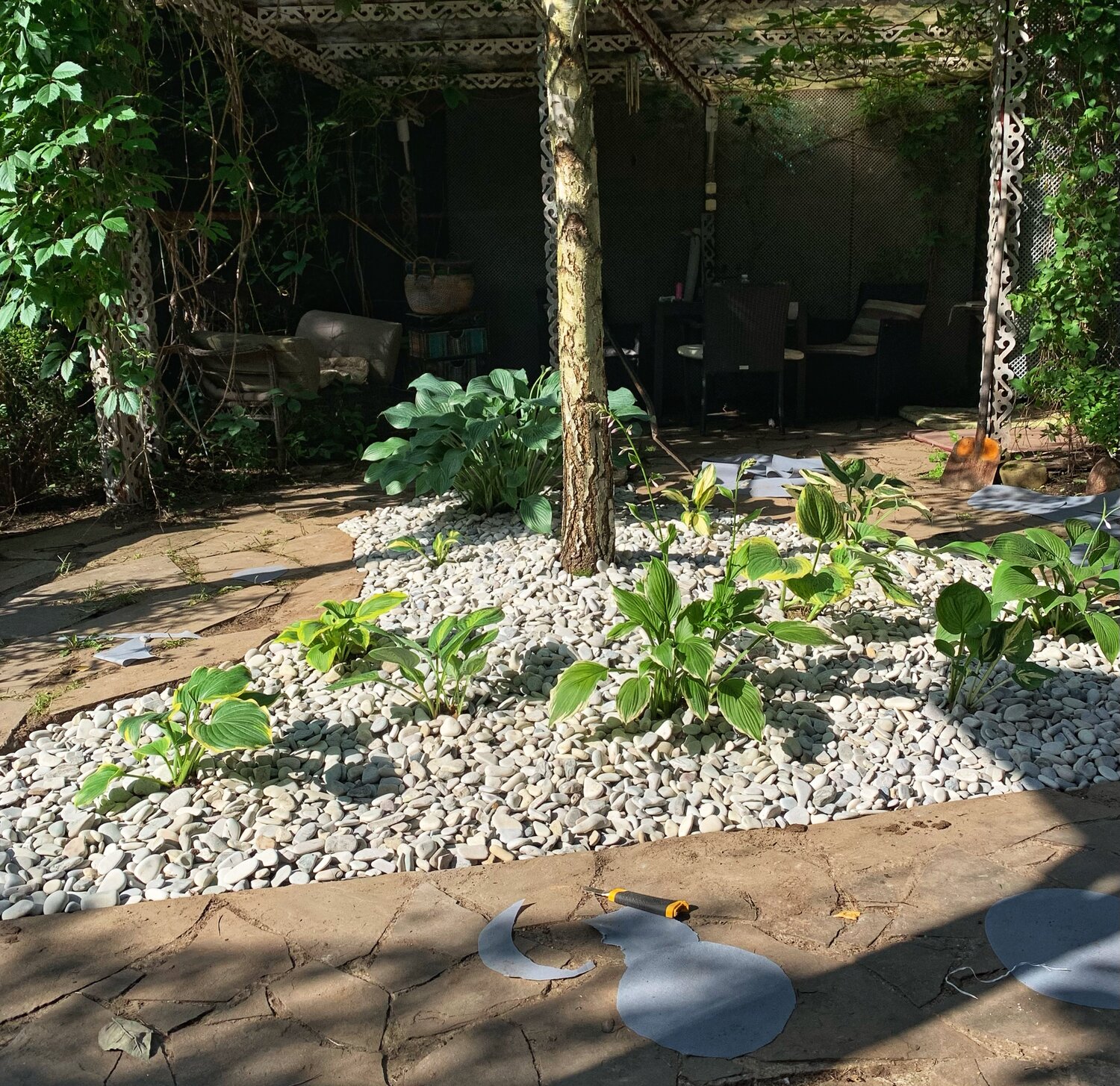 растение, патио в саду, сад, дизайн сада, ландшафтный дизайн идеи