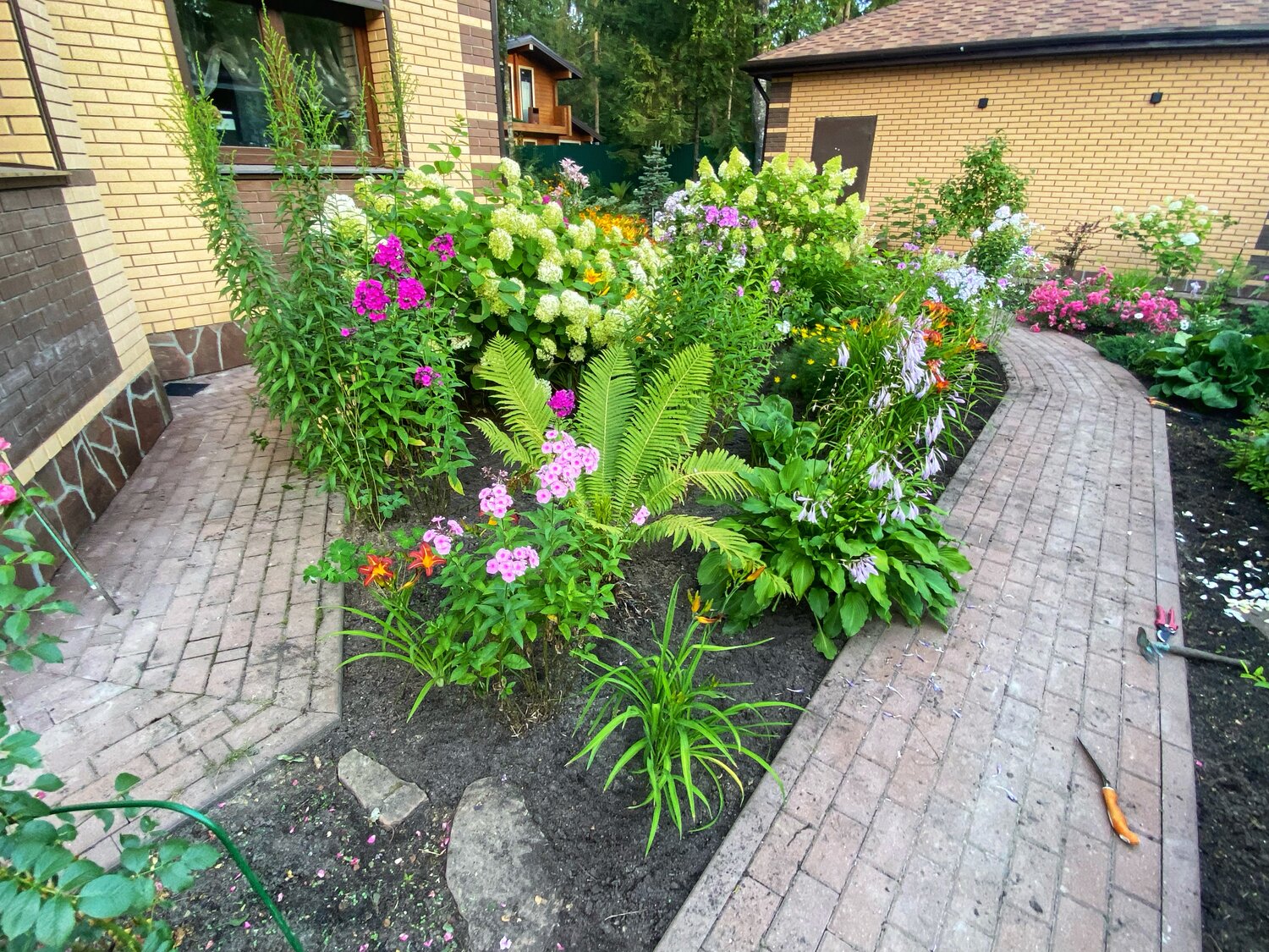 цветник на участке, растение, растения, клумбы на даче, красивые клумбы на даче