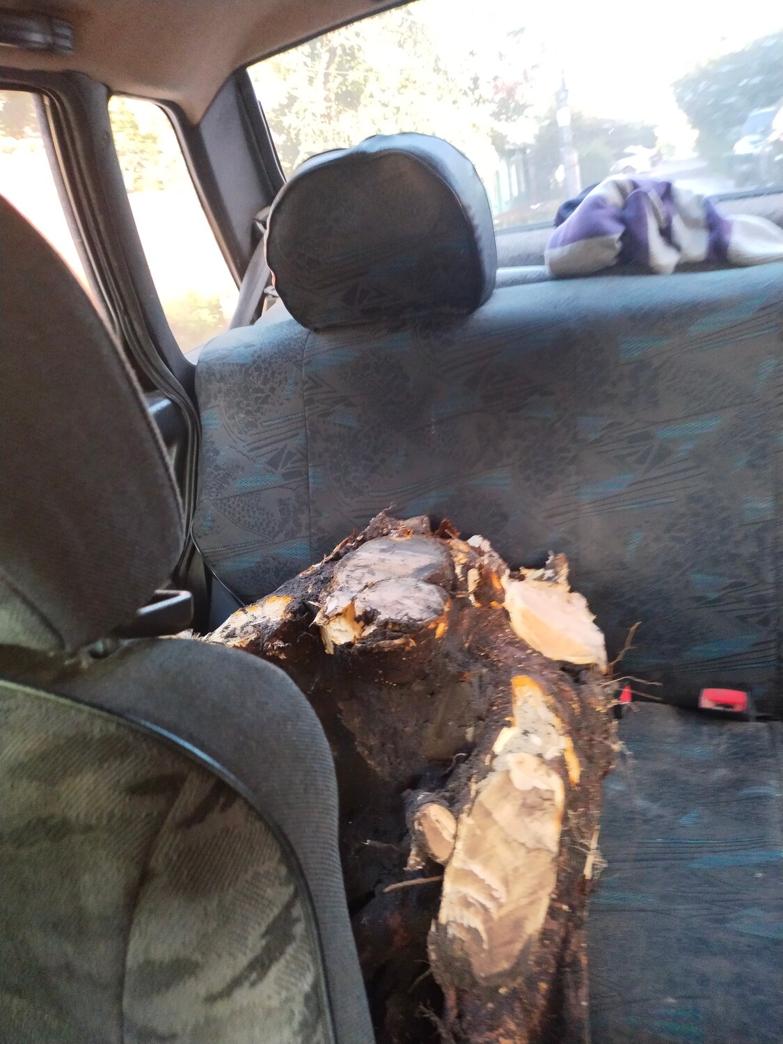автомобиль, авто, задние сиденья нива шевроле, горьковский автомобильный завод, chevrolet nexia