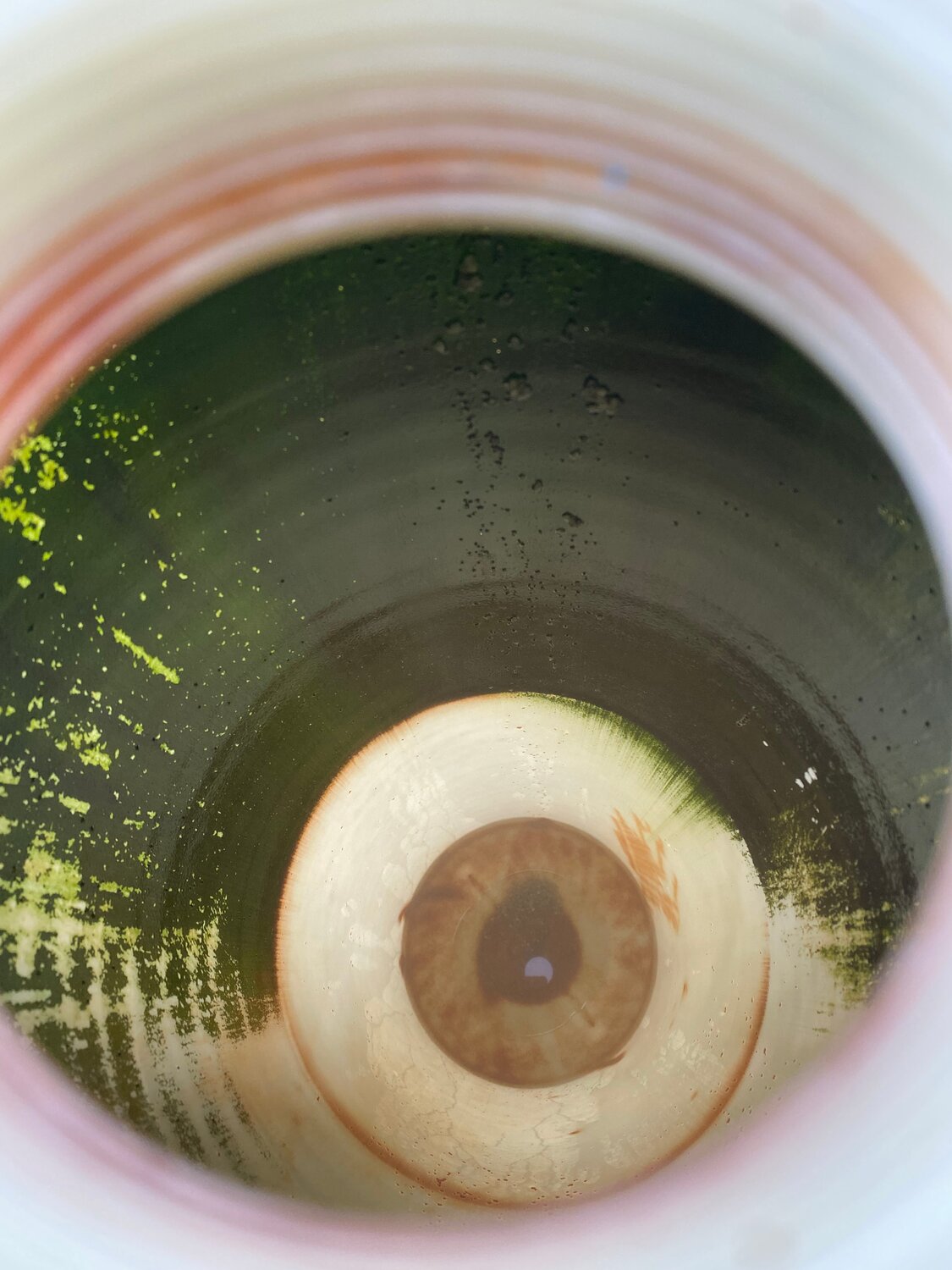 глаз, серо зеленые глаза зрачок, зрачок, линзы, внутри черной дыры