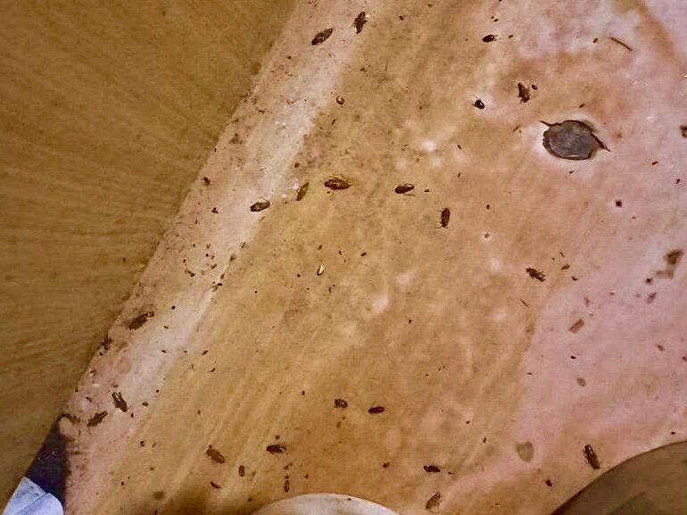 пленка карельская береза, натертая бронза, столешница, шпон, старая бумага