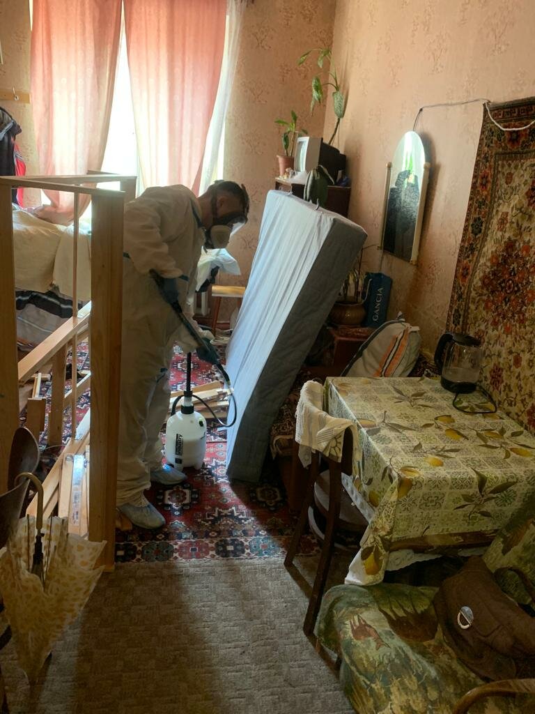 квартира, жилье, мебель, в доме, небольшая квартира