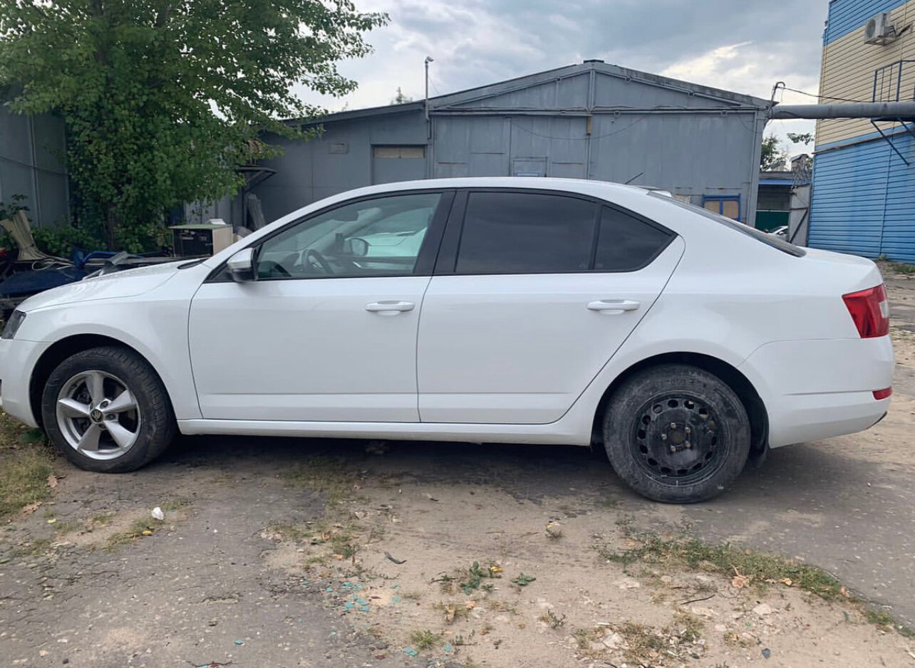 škoda octavia, octavia, новая шкода октавия, skoda octavia 2015, Skoda Octavia III