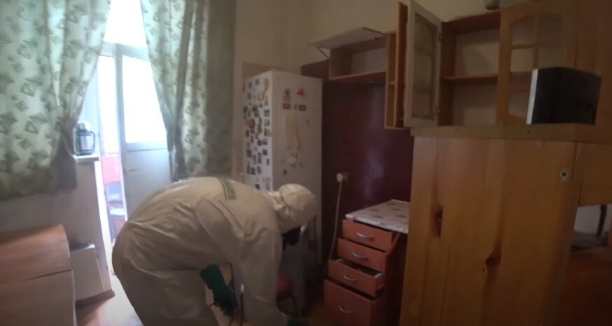 дезинсекция, уничтожение клопов, дезинфекция, дезинфекция от клопов, дезинфекция дезинсекция дератизация