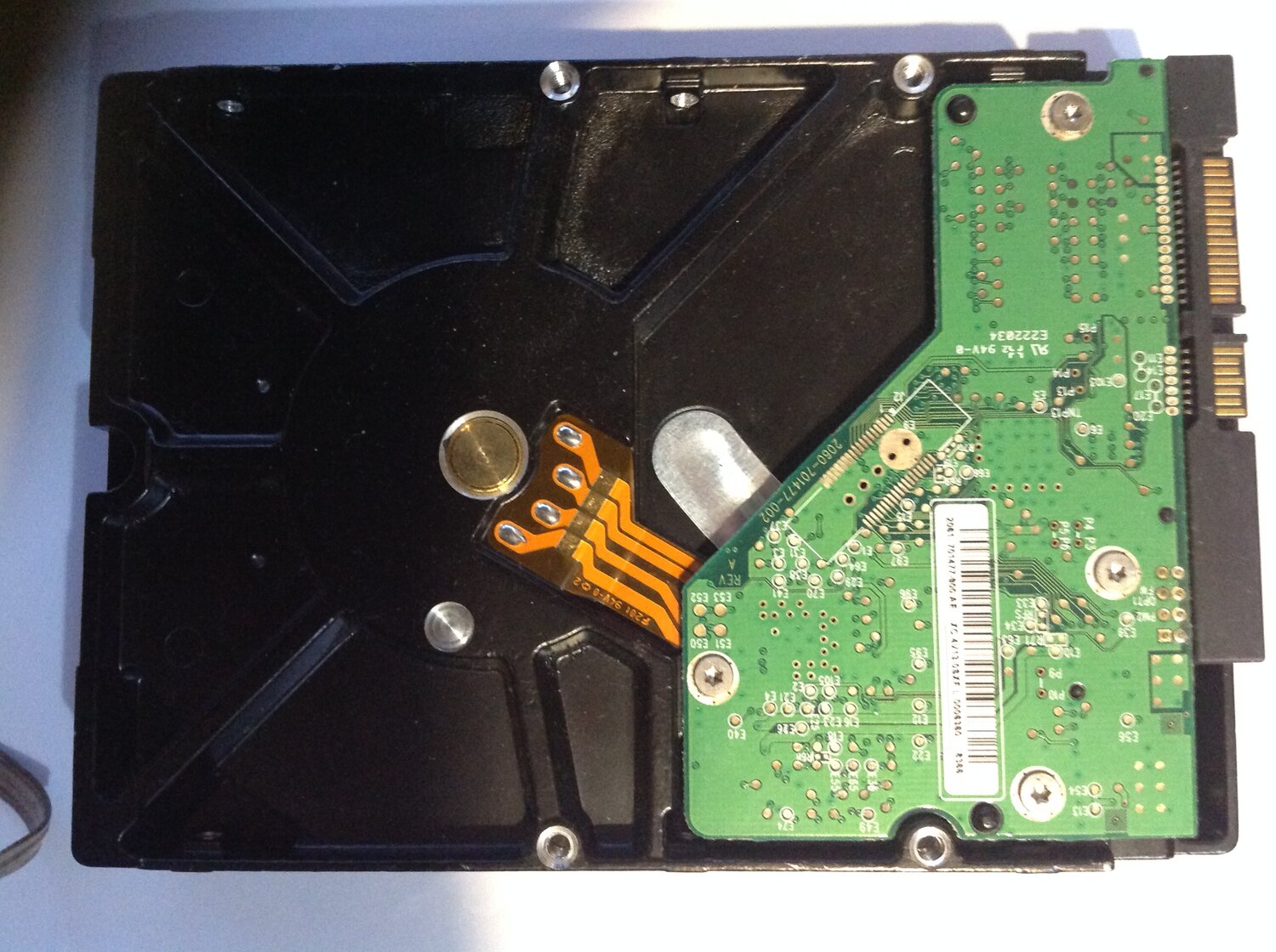 жёсткий диск, жесткий диск western digital wd caviar green 800 gb, жесткий диск для nas, жесткий диск wd1600aajs, жесткий диск western digital wd5000aads