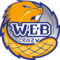 WEB-CRAZY