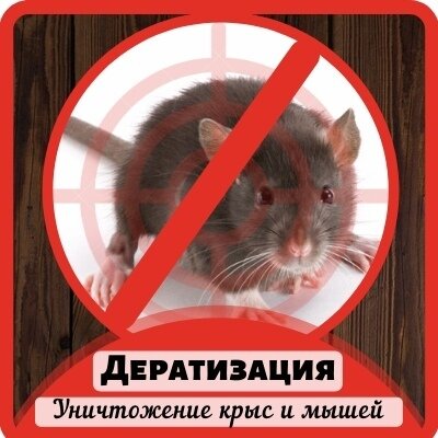дератизация, дератизация глпс, дератизация мышей, внимание территория обработана от мышей, животное