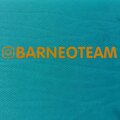 BARNEO.team