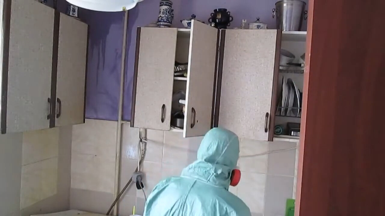 уничтожение насекомых, уничтожение, дезинсекция, дезинфекция и дезинсекция, дезинфекция